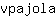 v***a