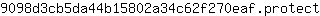 9***t