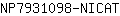 N***T