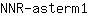 N***1