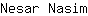 N***m