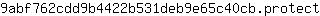 9***t