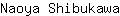 N***a
