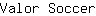 V***r