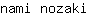 n***i