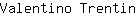 V***n