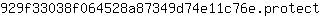 9***t