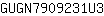 G***3