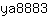 y***3