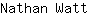 N***t