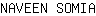 N***A