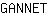 G***T
