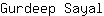 G***l