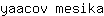 y***a