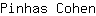 P***n