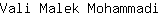 V***i