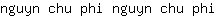 n***i