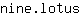 n***s
