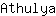 A***a