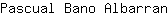 P***n