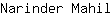 N***l
