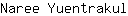 N***l
