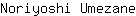 N***e