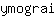 y***i