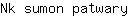 N***y
