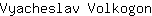 V***n