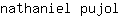 n***l