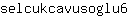 s***6