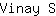 V***S