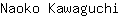 N***i