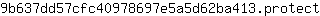 9***t