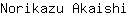 N***i