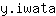 y***a