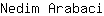N***i