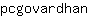 p***n