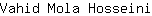 V***i