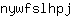 n***j