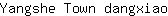 Y***o