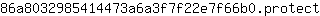 8***t
