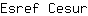 E***r