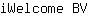 i***V