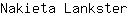 N***r