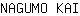 N***I