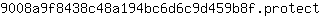 9***t