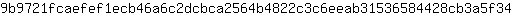 9***4