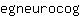 e***g